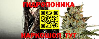 МДПВ Кунгур