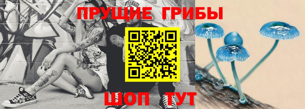 Псилоцибиновые грибы Cubensis Донецк