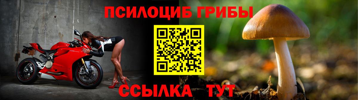 Донецк  как найти наркотики  Вход с VPN  Галлюциногенные грибы Psilocybe  Галлюциногенные грибы мухоморы 